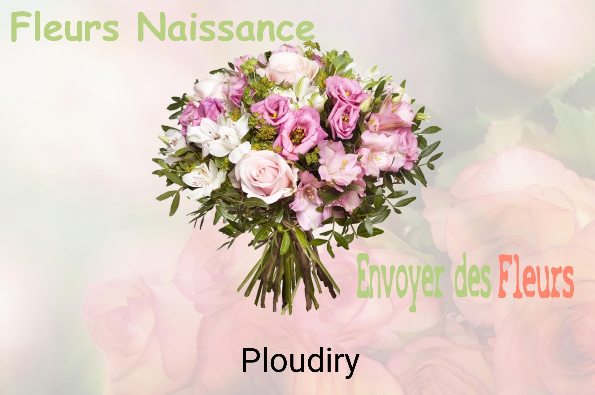 Bouquet de fleurs de naissance livré à Ploudiry